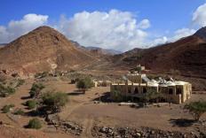 Feynan